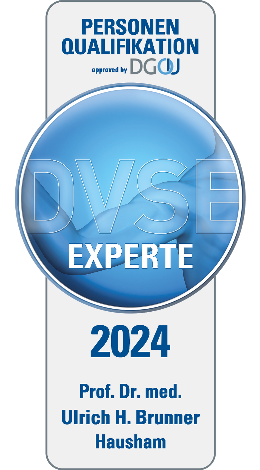 Siegel DVSE Experte Prof. Dr. Brunner
